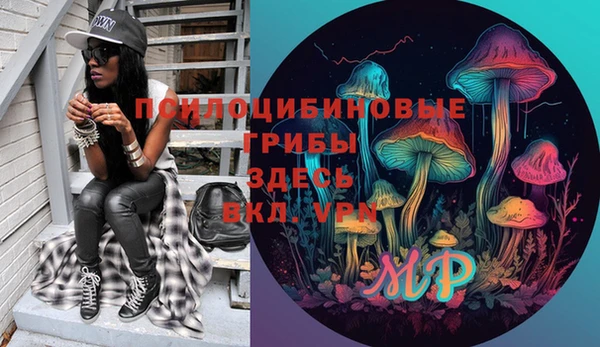 apvp Киреевск