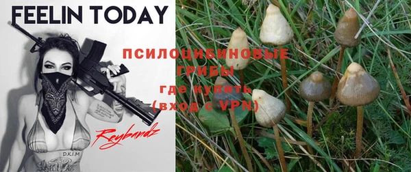 эйфоретик Кинешма